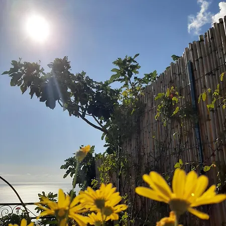 Lejlighed Casa Del Corriere Positano
